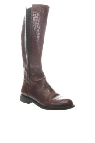 Dámske topánky  Dasha, Veľkosť 37, Farba Hnedá, Cena  76,95 €