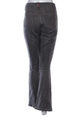 Γυναικείο Τζίν H.I.S, Μέγεθος M, Χρώμα Γκρί, Τιμή 14,77 €