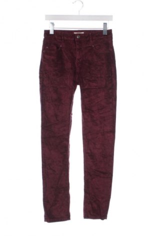 Damen Cordhose Esprit, Größe XS, Farbe Rot, Preis € 7,99