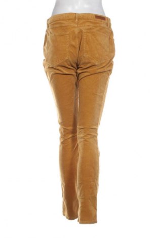 Dámske menčestráky Scapa, Veľkosť XL, Farba Oranžová, Cena  18,95 €