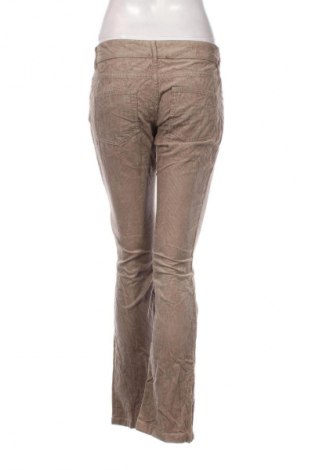 Damen Cordhose Stefanel, Größe M, Farbe Braun, Preis € 11,99
