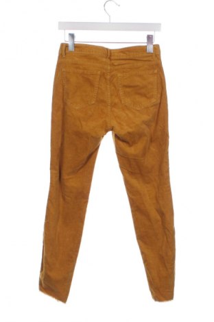 Γυναικείο κοτλέ παντελόνι Stehmann, Μέγεθος S, Χρώμα Πολύχρωμο, Τιμή 20,99 €