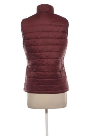 Damenweste Gaastra, Größe L, Farbe Braun, Preis € 18,99