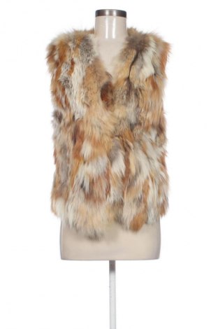 Női mellény Nicole, Méret M, Szín Sokszínű, Ár 15 455 Ft