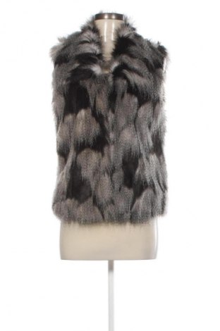 Γυναικείο γιλέκο Unbranded, Μέγεθος S, Χρώμα Πολύχρωμο, Τιμή 19,99 €