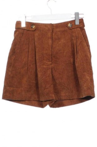 Damen Shorts Zara, Größe XS, Farbe Braun, Preis € 13,99
