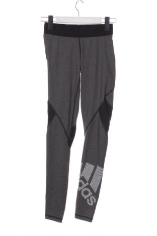 Γυναικείο κολάν Adidas, Μέγεθος XS, Χρώμα Γκρί, Τιμή 16,99 €