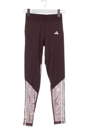 Dámské legíny  Adidas, Velikost XXS, Barva Hnědá, Cena  1 169,00 Kč
