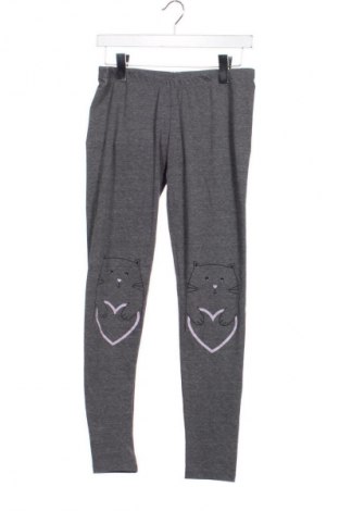 Damen Leggings Terranova, Größe L, Farbe Grau, Preis € 9,78