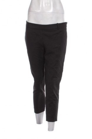 Damenhose Kocca, Größe L, Farbe Schwarz, Preis 12,99 €