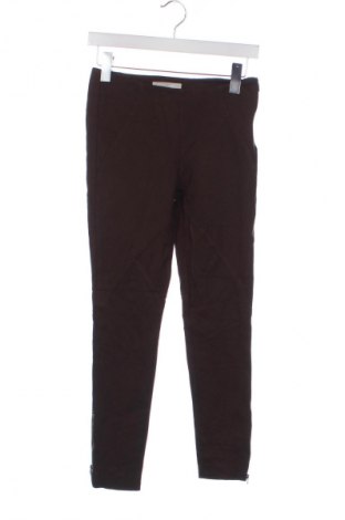 Damenhose Stefanel, Größe XXS, Farbe Braun, Preis € 22,99