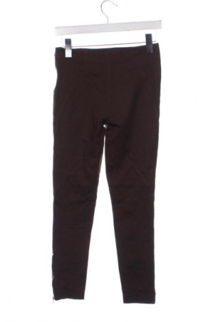 Damenhose Stefanel, Größe XXS, Farbe Braun, Preis € 22,99