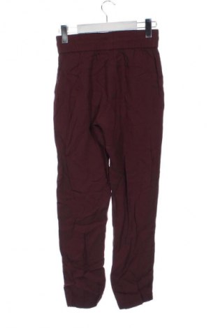 Damenhose TWINSET, Größe XS, Farbe Rot, Preis € 56,99