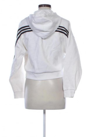 Damen Sweatshirt Adidas, Größe XS, Farbe Ecru, Preis € 29,99