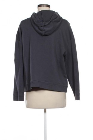 Damen Sweatshirt Massimo Dutti, Größe XL, Farbe Grau, Preis € 25,00