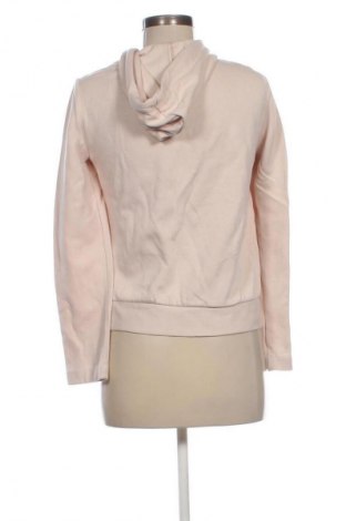 Damen Sweatshirt Massimo Dutti, Größe XS, Farbe Beige, Preis € 24,55