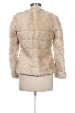 Női kabát Terranova, Méret XS, Szín Bézs, Ár 29 752 Ft
