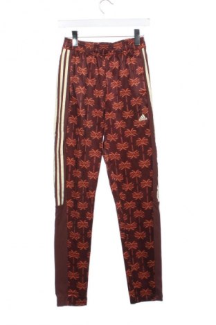 Damen Sporthose Adidas, Größe XS, Farbe Mehrfarbig, Preis € 62,99