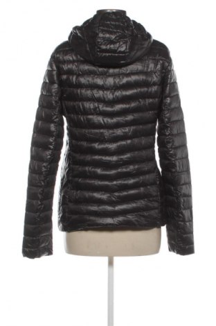 Γυναικείο μπουφάν Esmara, Μέγεθος M, Χρώμα Μαύρο, Τιμή 13,99 €