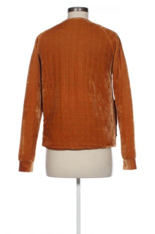 Γυναικείο μπουφάν Ichi, Μέγεθος S, Χρώμα Πορτοκαλί, Τιμή 35,00 €