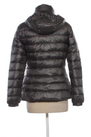 Γυναικείο μπουφάν Massimo Dutti, Μέγεθος M, Χρώμα Γκρί, Τιμή 50,99 €