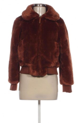 Damenjacke Pepe Jeans, Größe M, Farbe Braun, Preis 59,00 €