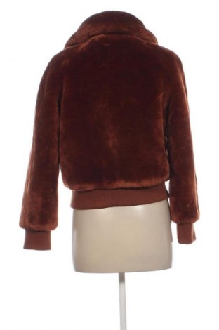 Damenjacke Pepe Jeans, Größe M, Farbe Braun, Preis 59,00 €