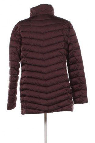 Dámska bunda  Punt Roma, Veľkosť L, Farba Hnedá, Cena  25,95 €