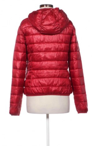 Dámska bunda  Terranova, Veľkosť L, Farba Červená, Cena  25,00 €