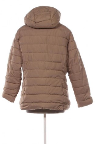 Damenjacke Tex, Größe XXL, Farbe Braun, Preis € 24,99