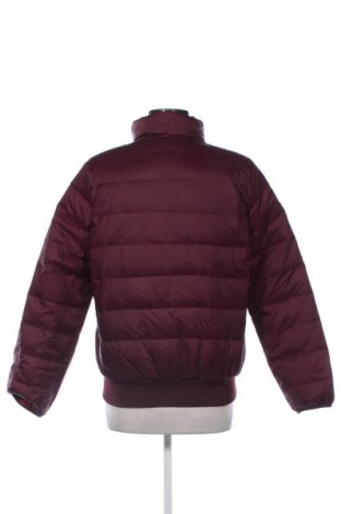 Γυναικείο μπουφάν United Colors Of Benetton, Μέγεθος M, Χρώμα Πολύχρωμο, Τιμή 50,99 €