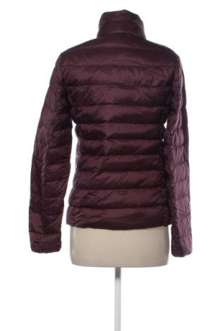 Női dzseki Uniqlo, Méret S, Szín Lila, Ár 38 938 Ft