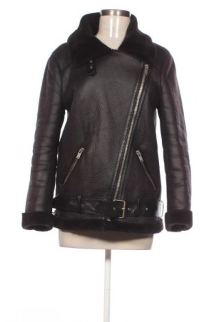 Damenjacke Zara, Größe S, Farbe Schwarz, Preis € 21,00