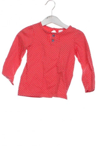 Kinder Shirt Baby Club, Größe 18-24m/ 86-98 cm, Farbe Mehrfarbig, Preis 6,00 €