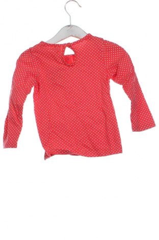 Kinder Shirt Baby Club, Größe 18-24m/ 86-98 cm, Farbe Mehrfarbig, Preis 6,00 €