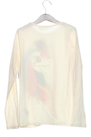 Dětská halenka  H&M, Velikost 8-9y/ 134-140 cm, Barva Vícebarevné, Cena  159,00 Kč