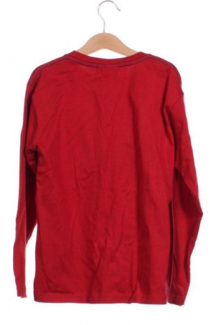 Детска блуза Looney Tunes, Размер 8-9y/ 134-140 см, Цвят Многоцветен, Цена 9,21 €