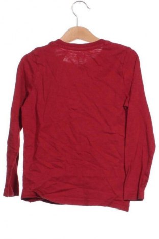 Kinder Shirt Lupilu, Größe 5-6y/ 116-122 cm, Farbe Rot, Preis 10,99 €