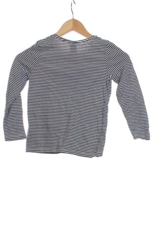 Dětská halenka  Palomino, Velikost 7-8y/ 128-134 cm, Barva Vícebarevné, Cena  220,00 Kč