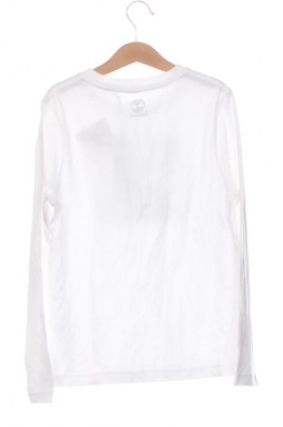 Dětská halenka  Timberland, Velikost 8-9y/ 134-140 cm, Barva Vícebarevné, Cena  1 049,00 Kč