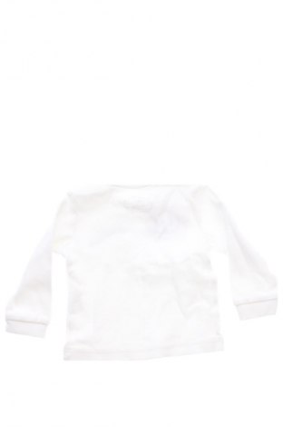 Kinder Shirt Unbranded, Größe 3-6m/ 62-68 cm, Farbe Mehrfarbig, Preis € 6,14