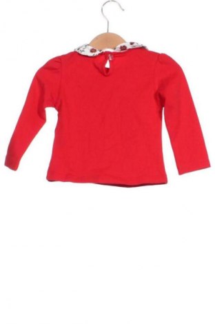 Dětská halenka  Unbranded, Velikost 6-9m/ 68-74 cm, Barva Vícebarevné, Cena  249,00 Kč