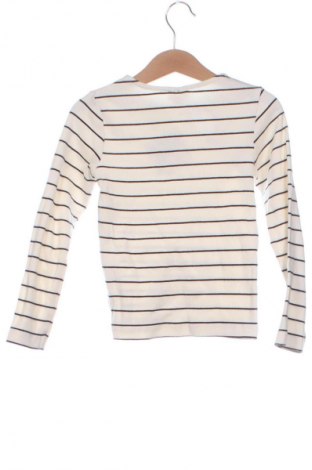 Kinder Shirt Zara, Größe 5-6y/ 116-122 cm, Farbe Mehrfarbig, Preis 6,99 €