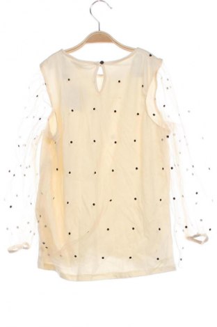 Kinder Shirt Zara, Größe 12-13y/ 158-164 cm, Farbe Mehrfarbig, Preis 7,99 €