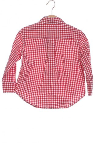 Kinderhemd Ralph Lauren, Größe 2-3y/ 98-104 cm, Farbe Mehrfarbig, Preis 21,99 €