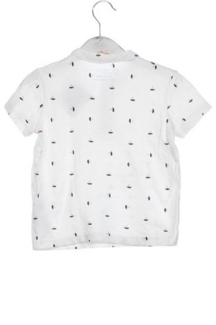 Dětské tričko  Primark, Velikost 2-3y/ 98-104 cm, Barva Vícebarevné, Cena  159,00 Kč