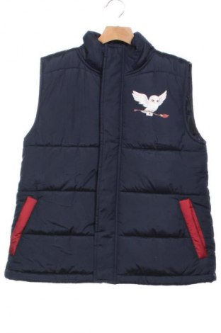 Dětská vesta  Harry Potter, Velikost 12-13y/ 158-164 cm, Barva Modrá, Cena  249,00 Kč