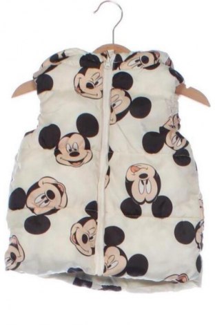 Kinderweste Sinsay, Größe 18-24m/ 86-98 cm, Farbe Mehrfarbig, Preis € 9,99