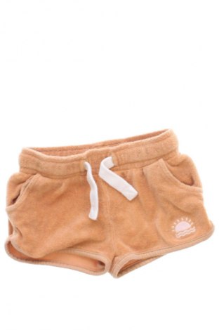 Dětské krátké kalhoty  Next, Velikost 6-9m/ 68-74 cm, Barva Hnědá, Cena  239,00 Kč