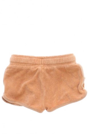 Dětské krátké kalhoty  Next, Velikost 6-9m/ 68-74 cm, Barva Hnědá, Cena  239,00 Kč